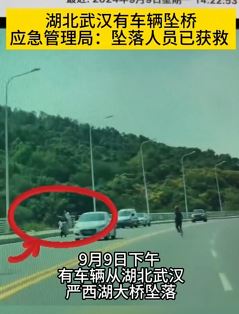 武汉一车辆冲入严西湖大桥 车上人员已获救