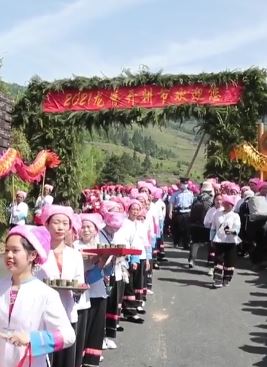 广西龙脊梯田景区举办开耕节 游客和村民梯田中捉活鸡