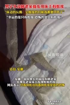 男子回家发现床上有蛇皮 可恰恰最恐怖的是只有蛇皮
