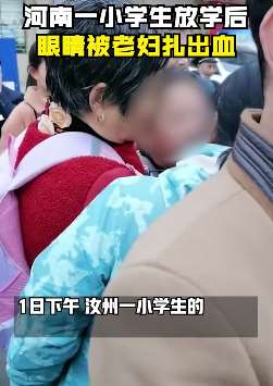 河南一小学生被老人扎伤眼睛