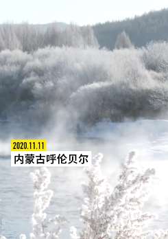 内蒙古呼伦贝尔受冷空气影响出现唯美雾凇景观