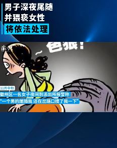 黄山市一男子深夜尾随猥亵女性被抓