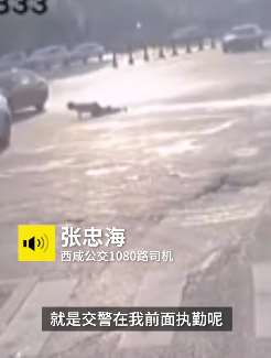 交警执勤突然栽倒马路中央 公交司机下车迅速上前扶起
