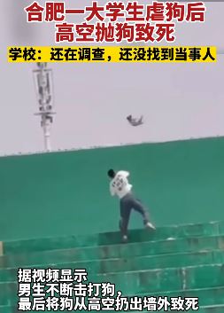 合肥一大学生虐狗后高空抛狗致死