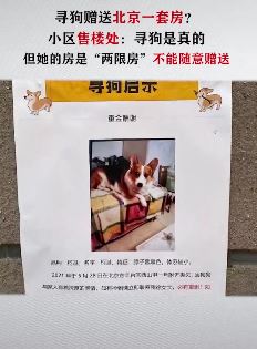 寻狗悬赏北京一套房