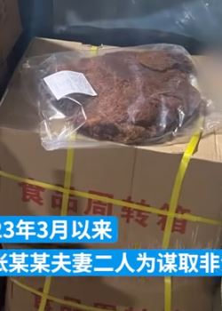 四川自贡一夫妻猪肉干冒充牛肉干卖被抓