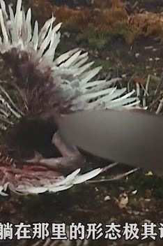 2023最好看烧脑剧《死亡化学》解说：反转太多，不到最后不知道谁才是凶手！