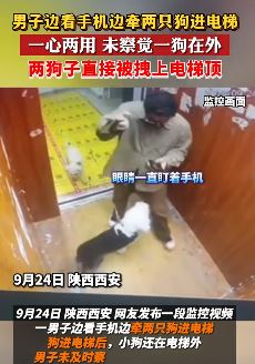 男子边看手机边牵两只狗进电梯 接下来发生惊险一幕