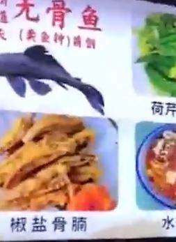 顺德一餐厅用清道夫鱼下菜 商家：48元一份销量不错