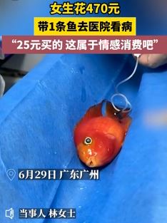 女生花470元带鱼去医院看病 称这属于情感消费吧
