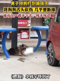 只因吓到孩子,男子将狗舌头割断