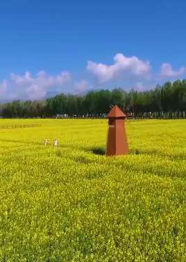 新疆昭苏风景无限好，一年四季美如画