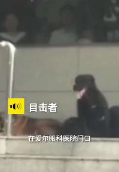 河南周口4条大狗偷跑出来上街咬人 狗主人被带走