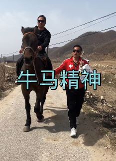 抖音张同学的最新作品:牛马精神,改造好的小院又添新成员!