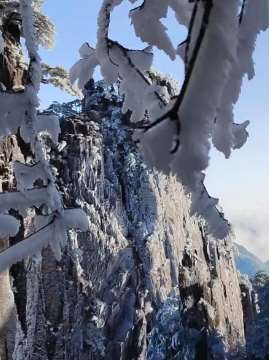 黄山景区迎春雪，山峦灌木一夜之间银装素裹别样美！