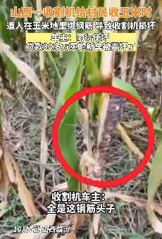 玉米杆上绑钢筋致收割机损坏 车主：同行使坏