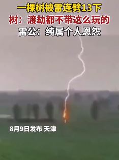 网友拍到一颗树被雷连劈13下 可能雷公对其有看法