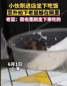 上海一女子餐馆吃饭看到对面碗里有老鼠，这谁还能再吃得下去！