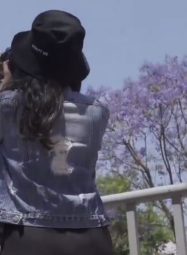 西昌许多街道蓝花楹绽放 成网红打卡地