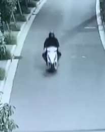 女子深夜散步被抢，警方深入调查后将劫匪抓获