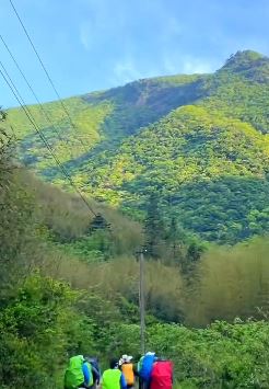 天目山景区怡人美景欣赏 许多游客在这里徒步赏景