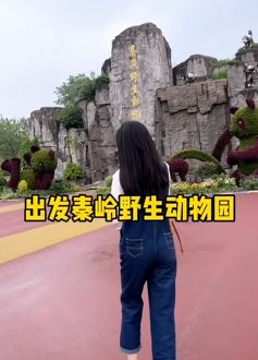 西安秦岭野生动物园游玩vlog,不虚此行!