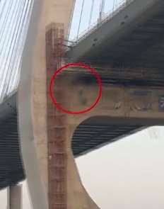 广东珠海一工人在洪鹤大桥作业时坠亡