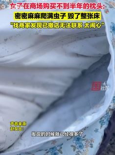 沈阳一女子曝商场买枕头里面爬满虫子