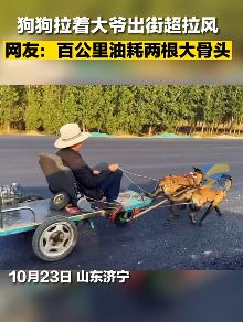 2条狗拉着大爷路上兜风 省油还拉风