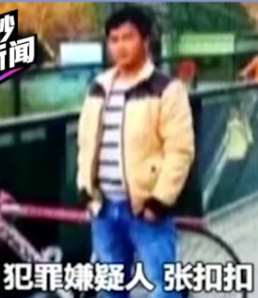 张扣扣被执行死刑，曾在除夕夜连杀三人