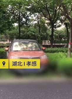 "孝感无人认领小车车主抗疫去世"系造谣 警方称车主仍在世