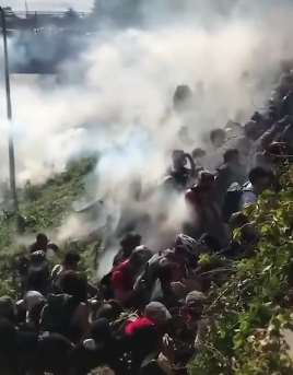 美国大批示威者被逼入死角 警方连发多枚烟雾弹投向人群