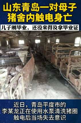 山东一对母子猪舍触电身亡 其父悲痛欲绝