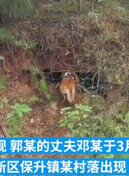 男子杀妻抛尸山洞 警方带气味搜寻犬找到尸体