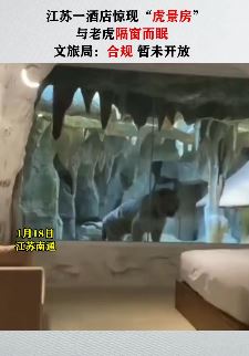 江苏南通一酒店现老虎观赏房
