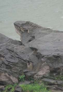 重庆乌龟石走红 头望东水门大桥像在等待什么！