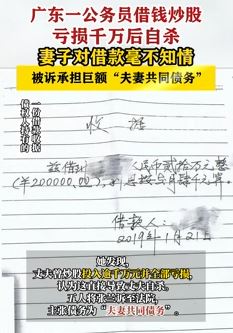 公务员借钱炒股亏损后自杀 妻子被诉承担巨额还款