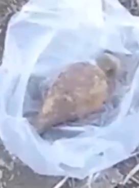 安徽阜阳一女子地里挖出马尾弹 疑战争时期遗留