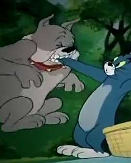 动画片《猫和老鼠》，汤姆手被狗咬不松口，撒胡椒粉来解决！