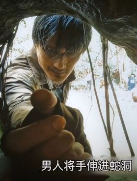 2024中国版《狂蟒之灾》解说：尹子维猎杀食人蟒后生吃！