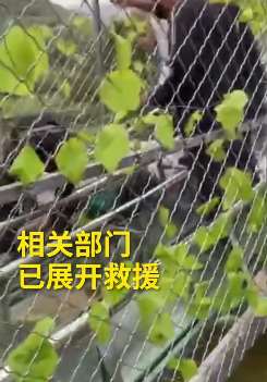 辽宁玻璃滑道事故已致1死多伤 事发时正下大雨