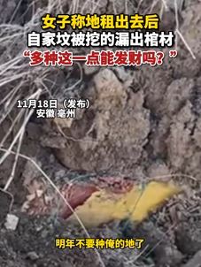 女子把地出租后自家坟被挖漏出棺材