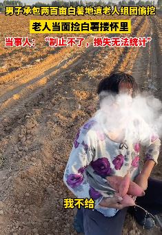 男子承包百亩白薯地遭老人组团偷挖