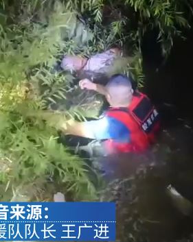 老人掉入池塘后死死抓住树枝获救