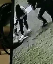 长沙一男女遛狗起冲突，男子持警棍殴打女子宠物狗