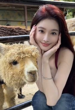 网红小姐姐「77周」分享和姐妹一起逛动物园vlog 网友：小动物也喜欢美女