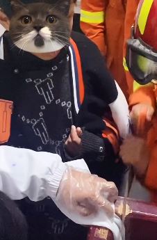 看着都疼！学生手抓扶梯不慎被钉子扎穿！