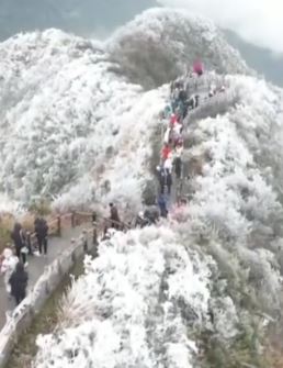 广西大明山雾凇美景再现 许多游客前来赏景