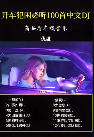热门车载音乐推荐：开车犯困必听的100首中文DJ