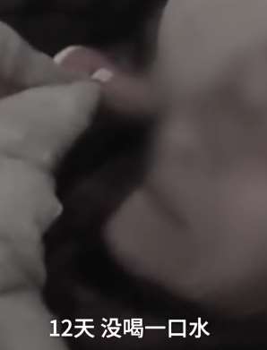 "玛莎拉蒂撞宝马案"死者母亲开庭审理12天后离世